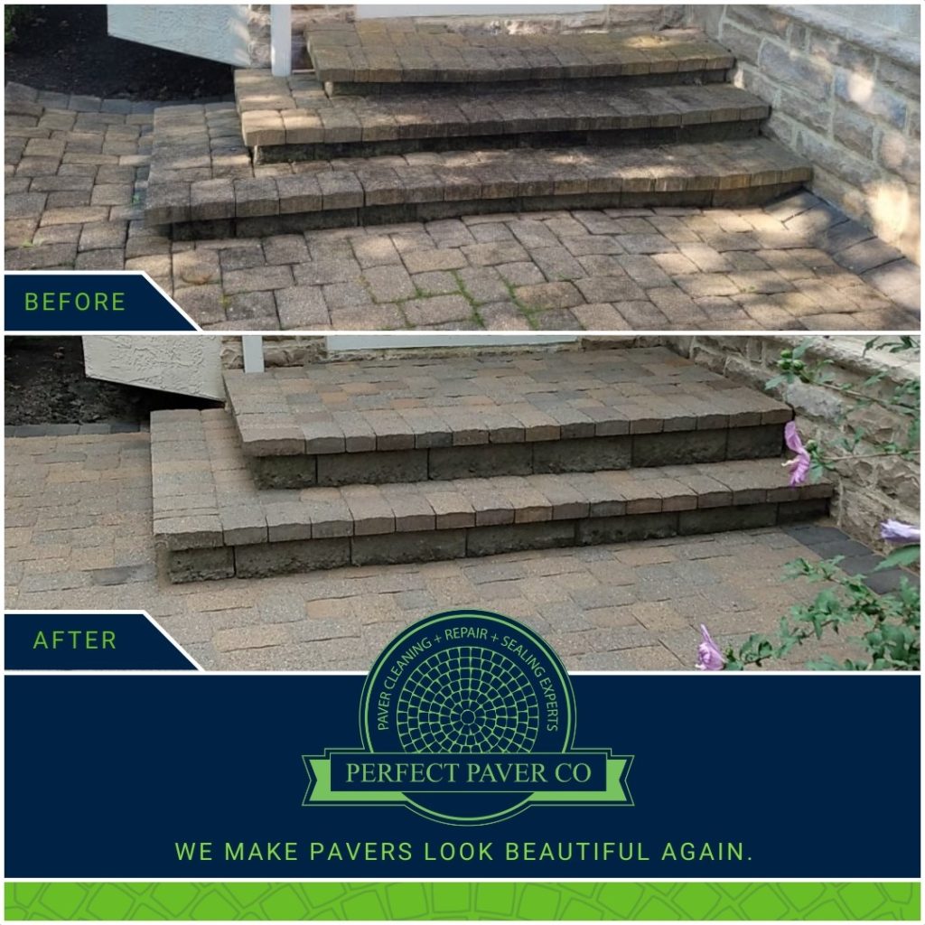 Paver Patio Repair Experts Perfect Paver Co Hardscape Restoration   240650583 1901916959990055 781220089846329787 N 1024x1024 