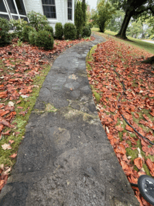 Paver repair cleaning and sealing in Amberley Village Ohio