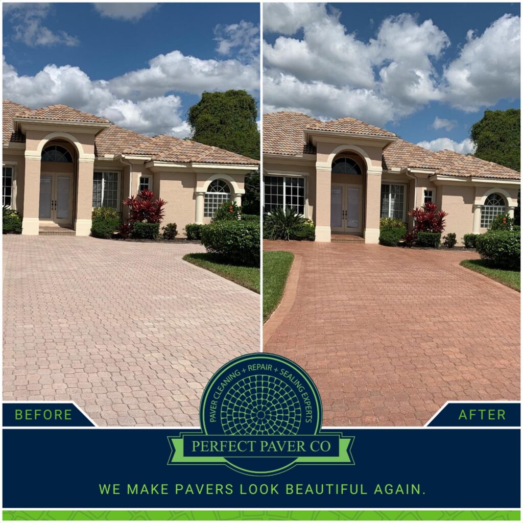 Social Templates(29)