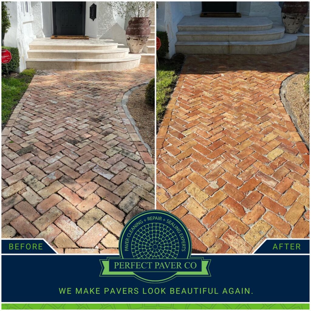 Social Templates(50)