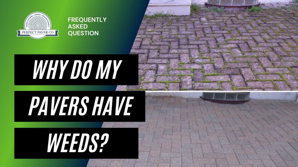 Why Do My Pavers Have Weeds?