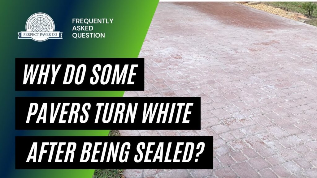 Why Do Some Pavers Turn White After Being Sealed?